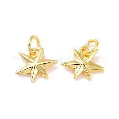 Brass Charms&nbsp;KK-G418-29G