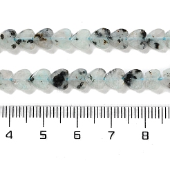 Natural Sesame Jasper Beads Strands&nbsp;G-M403-A40-02