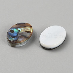 Natural Paua Shell Cabochons&nbsp;FIND-WH0110-867