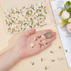 160個8スタイルアクリルパーツ  花  真鍮の金具とプラスチックのビーズ付き  ゴールドカラー  10x6.5~12mm  穴：1.5~2.3mm  20個/スタイル&nbsp;FIND-SC0021-55G