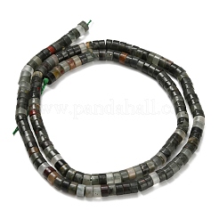 Natural African Bloodstone Beads Strands&nbsp;G-Z110-A31-2x4mm