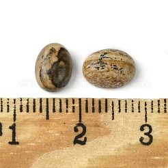 Natural Picture Jasper Cabochons&nbsp;G-A094-01B-48