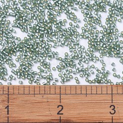 MIYUKI Delica Beads&nbsp;SEED-MY11-DB0689