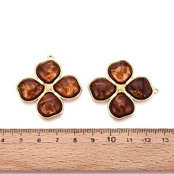 304 Stainless Steel and Resin Pendants&nbsp;STAS-T068-106B-G