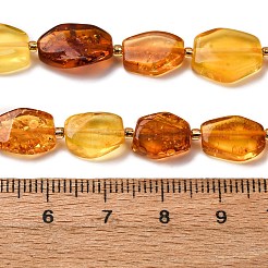 Gradient Color Natural Amber Beads Strands&nbsp;G-F803-E01-01