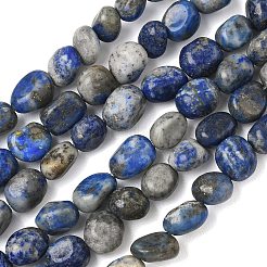 Natural Lapis Lazuli Beads Strands&nbsp;G-C286-A06