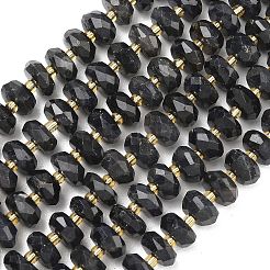 Natural Iolite Beads Strands&nbsp;G-L642-J02-03