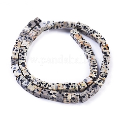 天然石ダルメシアンジャスパービーズ連売り  キューブ  5.5~6.5x5.5~6.5x5.5~6.5mm  穴：0.8mm  約62個/連  15.63インチ（39.7cm）&nbsp;G-D0020-14