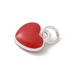 S925 Sterling Silver Pendant&nbsp;STER-H115-05E-S02