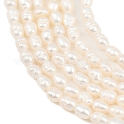 Natural Cultured Freshwater Pearl Beads Strands&nbsp;PEAR-F020-07