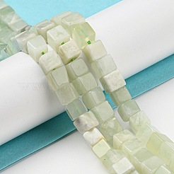 天然新しいヒスイの​​ビーズ連売り  キューブ  6~6.5x6~6.5x6~6.5mm  穴：1.2mm  約63~64個/連  15''~15.16''（38.1~38.5センチメートル）&nbsp;G-Q1008-B16