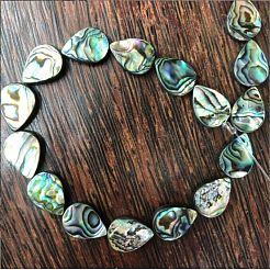 Paua Shell Bead Strands&nbsp;BSHE-WH0001-07
