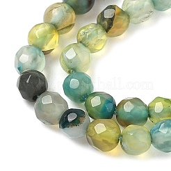 Natural Agate Beads Strands&nbsp;X-G-H302-A01-08