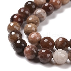 Natural Petrified Wood Beads Strands&nbsp;G-E571-27B