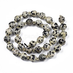 天然石ダルメシアンジャスパービーズ連売り  シードビーズで  ファセットバイコーンバレルドラム  7~8x7~8mm  穴：1mm  約35~38個/連  13.82インチ〜14.84インチ（35.1~37.7cm）&nbsp;X-G-N326-100-02