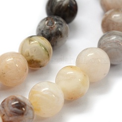 Natural Bamboo Leaf Agate Beads Strands&nbsp;G-G763-03-10mm