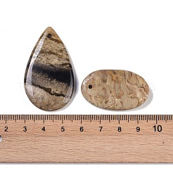 天然ココナッツ化石ペンダント  ティアドロップ  32.5~44.5x20~26.5x5~7.5mm  穴：2mm&nbsp;G-Q164-10