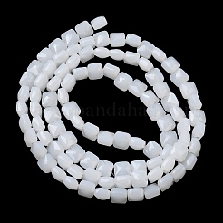 Imitation Jade Glass Beads Strands&nbsp;GLAA-L050-B05