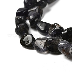 Natural Iolite Beads Strands&nbsp;G-P497-01E-35