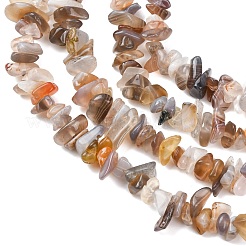 天然石ボツワナアゲートビーズ連売り  チップ  5~8mm  穴：1mm  80~81cm&nbsp;G-I283-A05-01