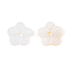 天然淡水シェルビーズ  花  貝殻色  10x10x2mm  穴：1.4~1.5mm&nbsp;BSHE-T014-15