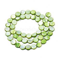 淡水シェルビーズ連売り  染め  フラットラウンド  オリーブドラブ  8x2.5~3.5mm  穴：0.8mm  約50~51個/連  15.35インチ〜15.75インチ（39cm〜40cm）&nbsp;X-SHEL-T009-B16-04