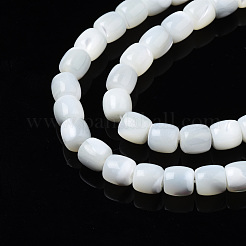Natural Trochid Shell/Trochus Shell Beads Strands&nbsp;SSHEL-N034-121-B01