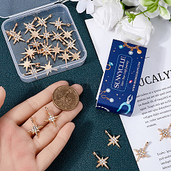 30Pcs Alloy Rhinestone Pendants&nbsp;FIND-SC0011-04