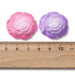 Opaque Resin Cabochons&nbsp;CRES-I046-06