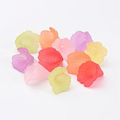Mixed Transparent Acrylic Flower Beads&nbsp;X-PL551M