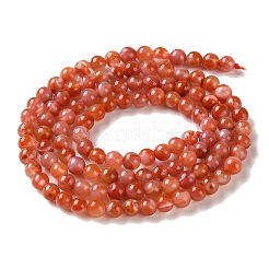 Natural South Red Agate Beads Strands&nbsp;GG-CBA6824-A01-01
