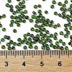 TOHO Round Seed Beads&nbsp;X-SEED-TR11-0247