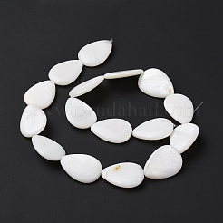 Natural Freshwater Shell Beads Strands&nbsp;SHEL-H001-12