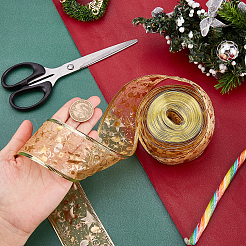 Bronzing Double Layer Polyester Ribbon&nbsp;DIY-WH0282-05