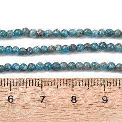 天然石アパタイトビーズ連売り  スムーズなラウンド  2.5~3.5mm  穴：0.6~0.7mm  約126~151個/連  14.96~16.34''（38~41.5センチメートル）&nbsp;G-H358-A12-3mm-01