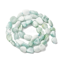 Natural Glass Beads Strands&nbsp;G-K395-A02-02