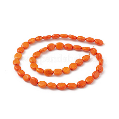 Natural Turpuoise Beads Strands&nbsp;G-P494-A03