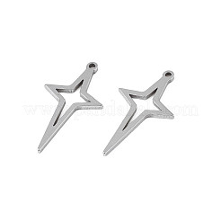 Non-Tarnish 304 Stainless Steel Pendants&nbsp;X-STAS-N095-099
