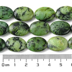 Natural Variscite Beads Strands&nbsp;G-D067-H02-A01