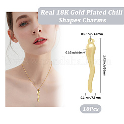 10Pcs 304 Stainless Steel Pendants&nbsp;STAS-BBC0006-29