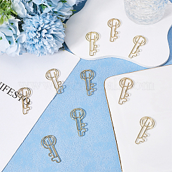30Pcs Iron Paper Clips&nbsp;TOOL-CP0001-45A