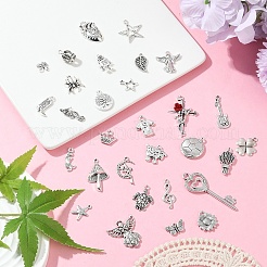 30pcs30スタイルチベットスタイルアロイペンダント  混合形状チャーム  アンティークシルバー  10~50x9~23x2~5.5mm  穴：1~4mm  1個/スタイル&nbsp;FIND-YW0006-86