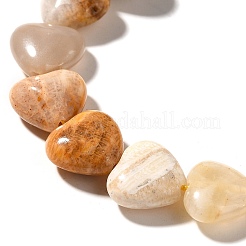 Natural Fossil Coral Beads Strands&nbsp;G-R190-10mm-45