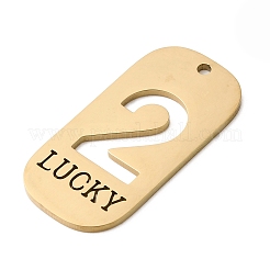 304 Stainless Steel Pendants&nbsp;STAS-D200-02C-G