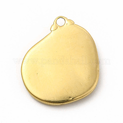 304 Stainless Steel Pendants&nbsp;STAS-M305-03G