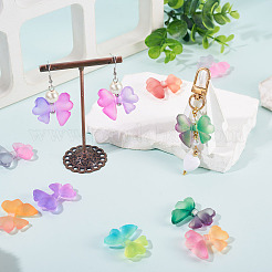 Transparent Acrylic Beads&nbsp;TACR-TAC0007-14
