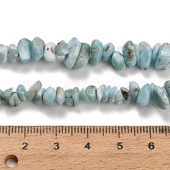 天然石ラリマービーズ連売り  チップ  5~11x4~10x1.2~6mm  穴：0.8mm  15.75''（40センチメートル）&nbsp;G-D109-B03