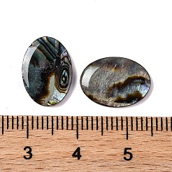 Natural Paua Shell Epoxy Resin Cabochons&nbsp;SSHEL-S279-01B