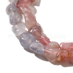Natural Quartz & Tanzanite Stone Beads Strands&nbsp;G-L610-B23-02