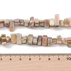Natural Freshwater Shell Beads Strands&nbsp;BSHE-H018-07A